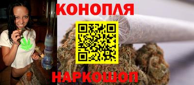 прущие грибы Будённовск